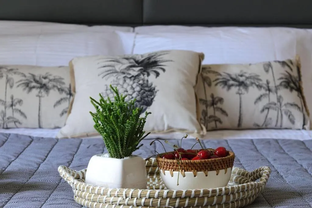 Aelia Apartment Lixouri
